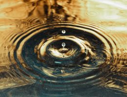 Wat is goudwater en wat zijn de voordelen er van?